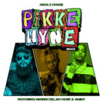 Mega x Chakie – Pikkewyne (Remix) ft. Meneer Cee, Jay Music & Naiidy