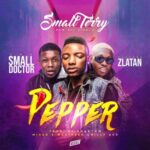 Small Terry x Zlatan x Small Doctor – Pepper (Prod. By Phantom)