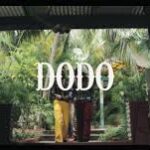 Davido – Dodo